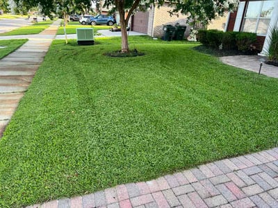 Lawn Care service in Panama City, 32401