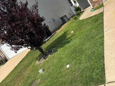 Lawn Care service in Ballantyne, 28277