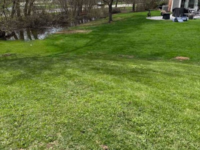 Lawn Care service in Pewaukee, 53072