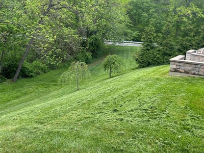 Lawn Care service in Bel Air, 21014