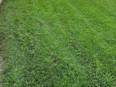 Lawn Care service in Groton, 06340