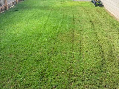 Lawn Care service in Taylor, 76574
