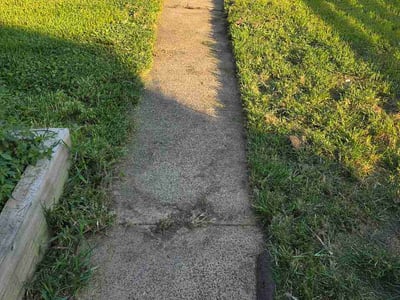 Lawn Care service in Taylorsville, 40071