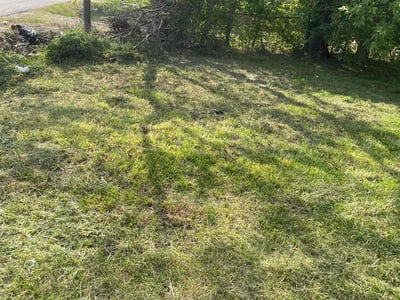Lawn Care service in Renton, 98057