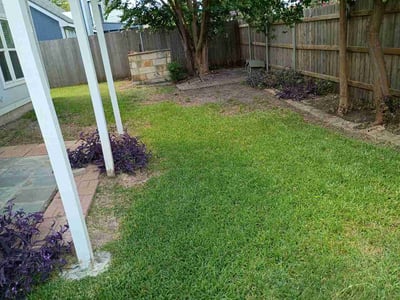 Lawn Care service in Taylor, 76574