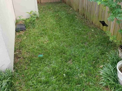 Lawn Care service in Renton, 98057