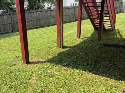 Lawn Care service in Dickson, 37055