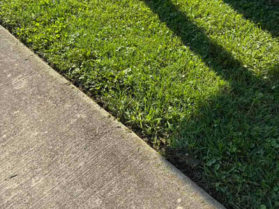 Lawn Care service in Winston Salem, 27101