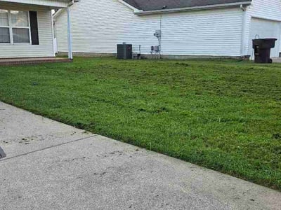 Lawn Care service in Burns, 37029