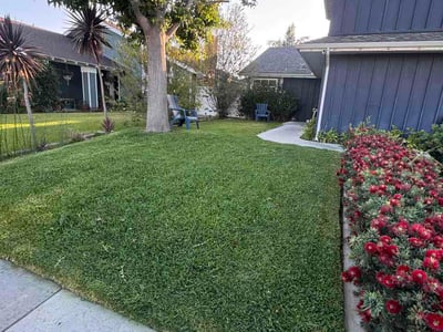 Lawn Care service in Laguna Beach, 92651