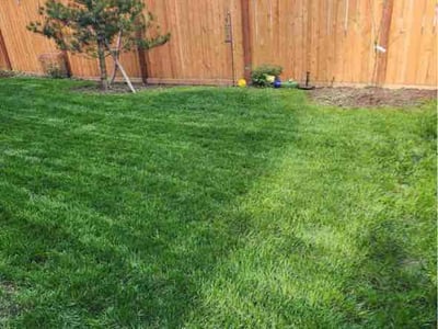 Lawn Care service in Lake Stevens, 98258