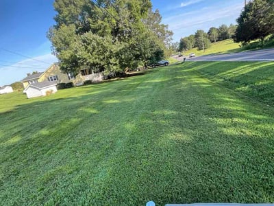 Lawn Care service in Laguna Beach, 92651