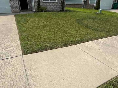 Lawn Care service in White House, 37188