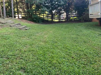 Lawn Care service in Mooresville, 28115