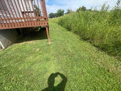 Lawn Care service in Mount Juliet, 37122