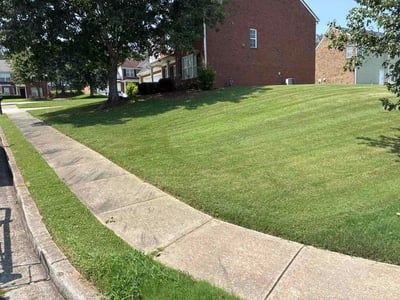 Lawn Care service in Redondo Beach, 90277