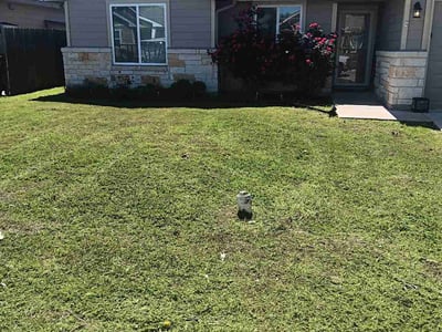 Lawn Care service in Fair Oaks, 95628