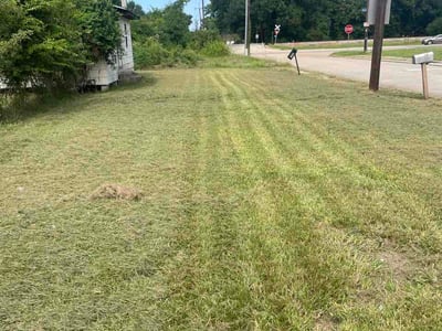 Lawn Care service in Jackson, 70748