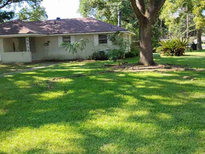Lawn Care service in Jackson, 70748