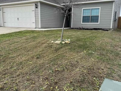 Lawn Care service in Flushing, 11354