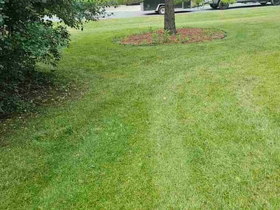 Lawn Care service in Elm Grove, 53122