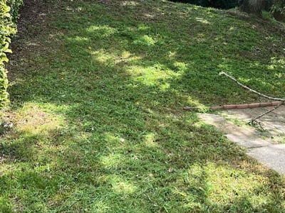 Lawn Care service in Carson, 90745