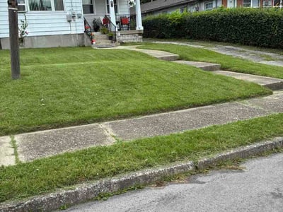 Lawn Care service in Nicholasville, 40356