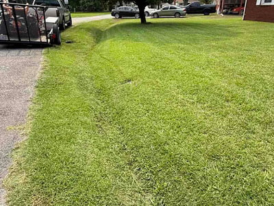 Lawn Care service in Newport News, 23606