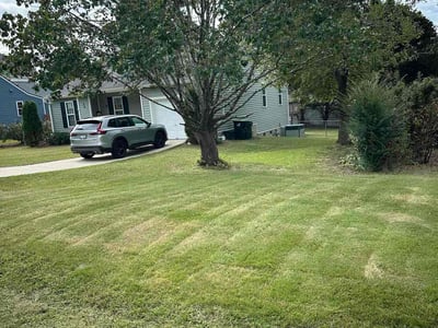 Lawn Care service in Apex, 27502