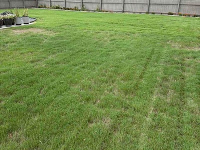 Lawn Care service in Apex, 27502