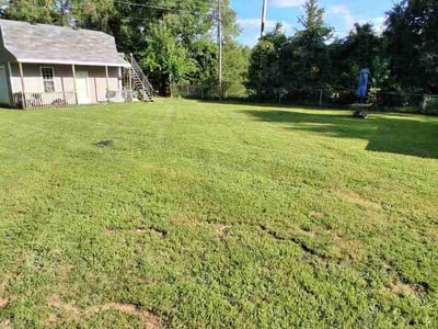 Lawn Care service in Saint Joseph, 49085