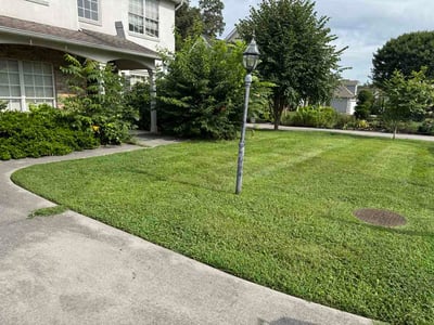 Lawn Care service in Powell, 37849