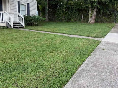 Lawn Care service in Kingston Springs, 37082