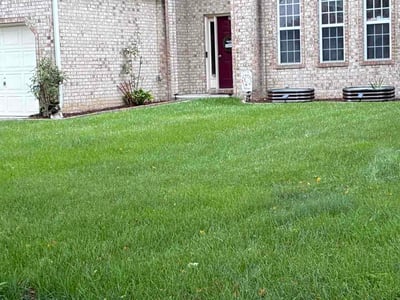Lawn Care service in Toano, 23168