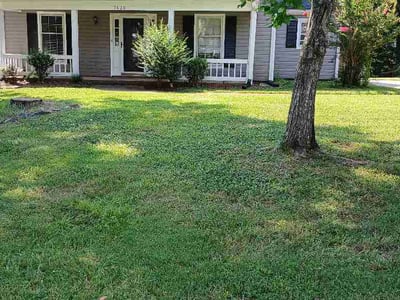 Lawn Care service in Denver, 28037
