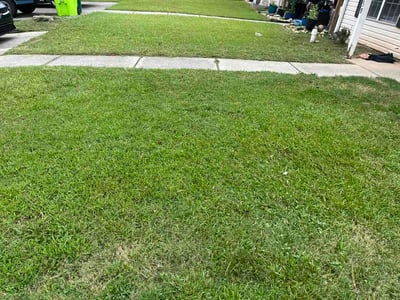 Lawn Care service in Owensboro, 42303