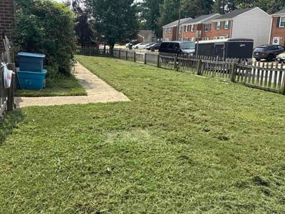 Lawn Care service in Staunton, 24401