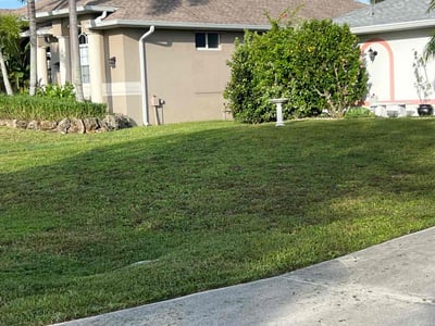 Lawn Care service in Castro Valley, 94546