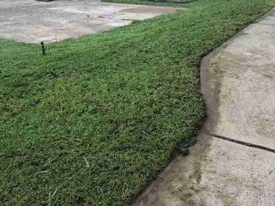 Lawn Care service in Siler City, 27344
