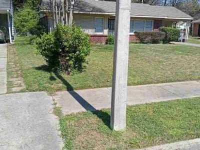 Lawn Care service in Jamaica, 11432