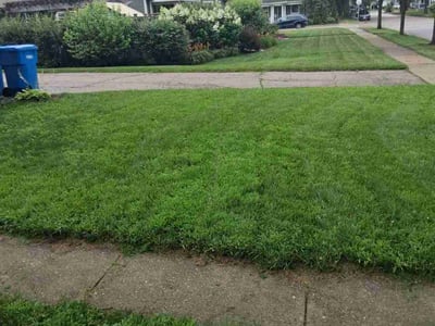 Lawn Care service in Deforest, 53532