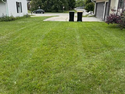 Lawn Care service in Wausau, 54403