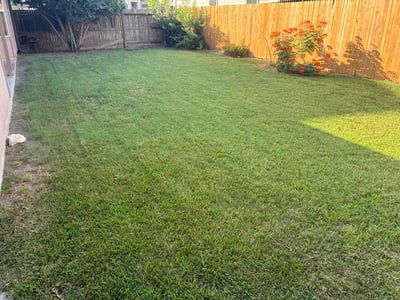 Lawn Care service in South Pasadena, 91030