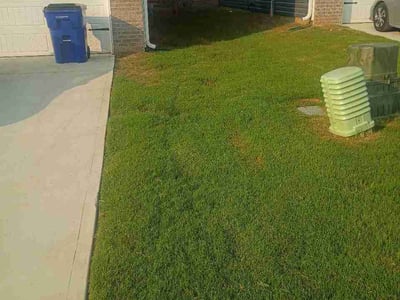Lawn Care service in Cleveland, 37311