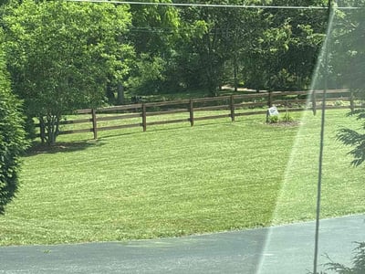 Lawn Care service in Arden, 28704
