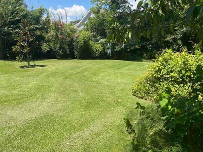 Lawn Care service in Covington, 70433