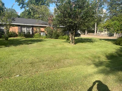 Lawn Care service in Covington, 70433