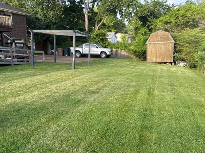 Lawn Care service in Hermitage, 37076