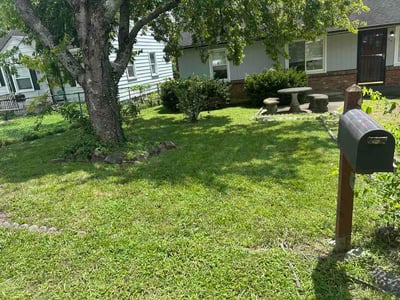 Lawn Care service in Hermitage, 37076
