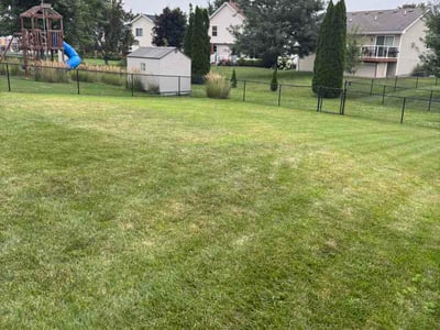 Lawn Care service in Clive, 50325